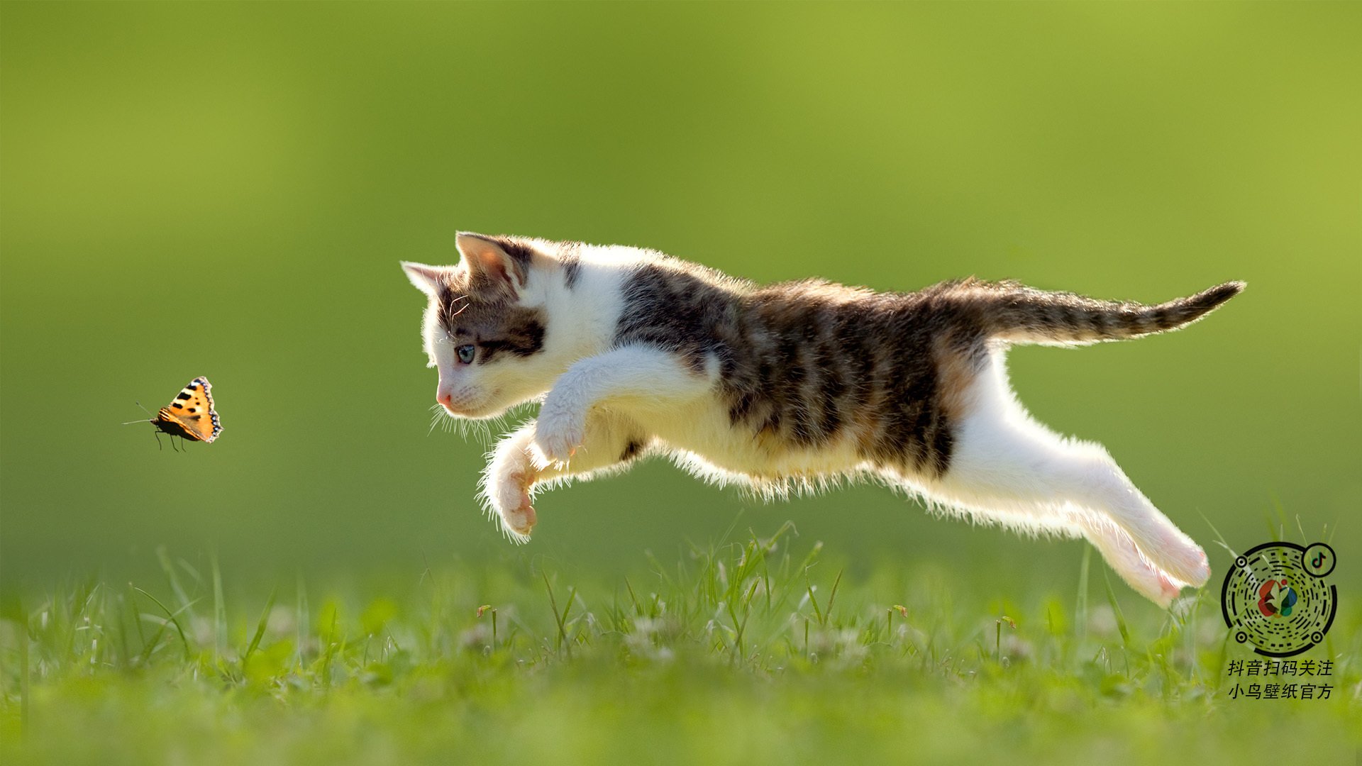 “如何完美执行3-2区域联防？战术详解”，二三区域联防教学视频