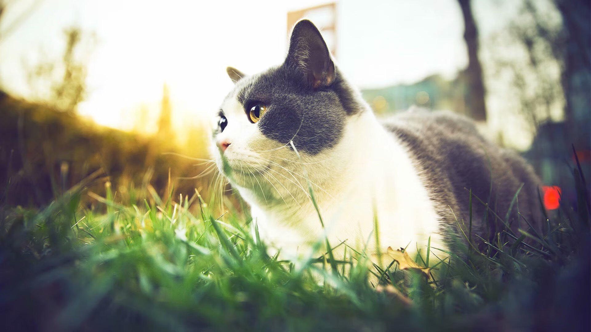 【队伍调整】赛季中期换人策略成胜负关键,啥时候换赛季