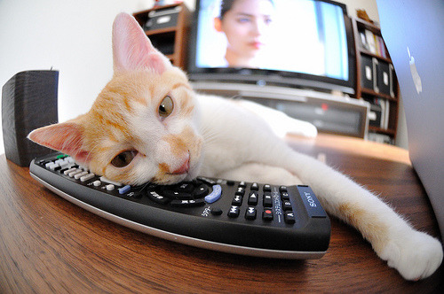 传统武术套路大赛,展现国家文化魅力,传统武术套路竞赛规则2012