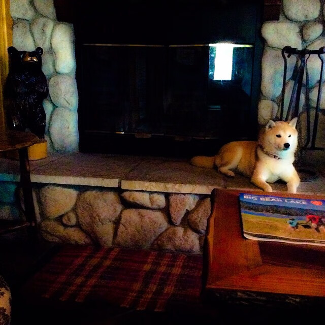 巴西队在2024年美洲杯四分之一决赛中点球不敌乌拉圭,止步八强,巴西晋级美洲杯四强