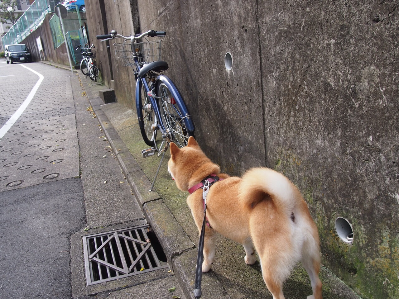 开云网站-欧冠“超级替补”频出，改变比赛局势的英雄们，欧冠欧洲超级杯