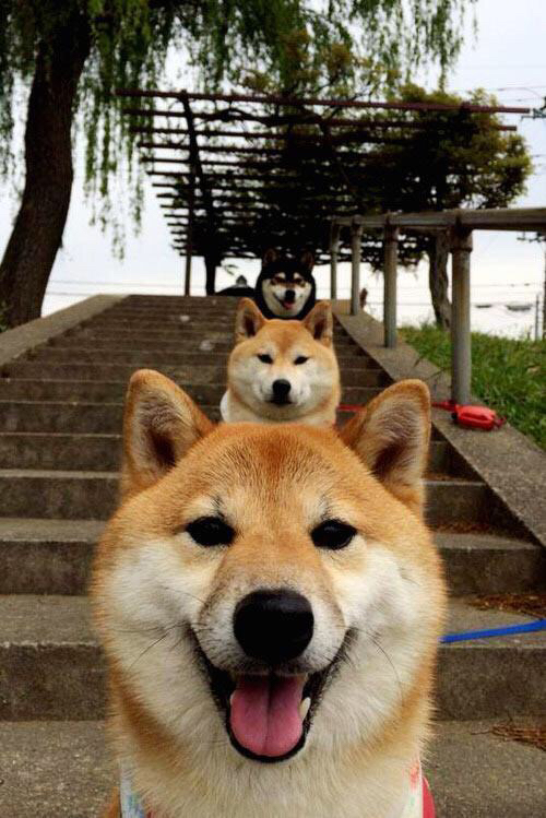 开云官网-爵士老将康利宣布退役，结束18年职业生涯，康利转会爵士