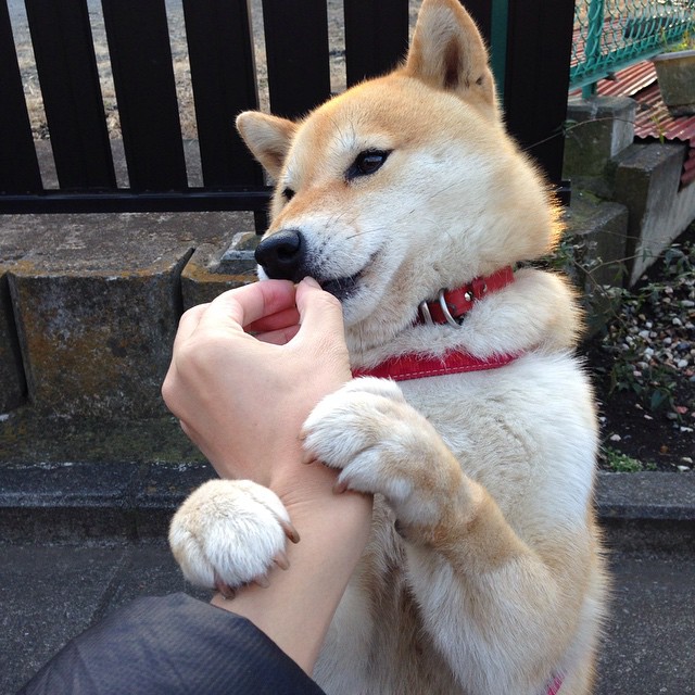 美国女足在巴黎奥运会比赛中表现出色,赢得银牌,美国女足奥运会大名单