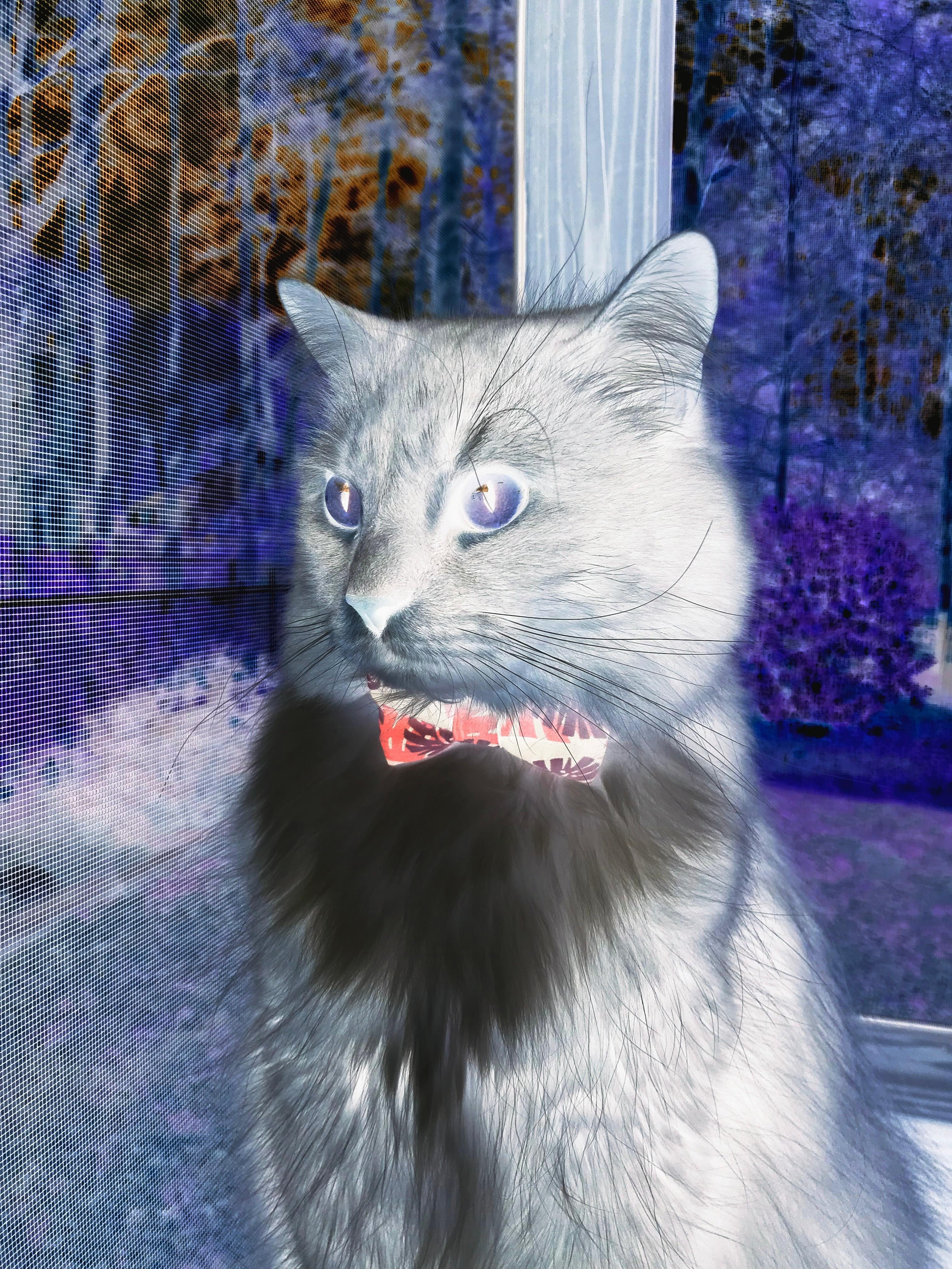 跨界合作新模式:电竞与时尚、影视的深度融合,电竞生态跨界融合