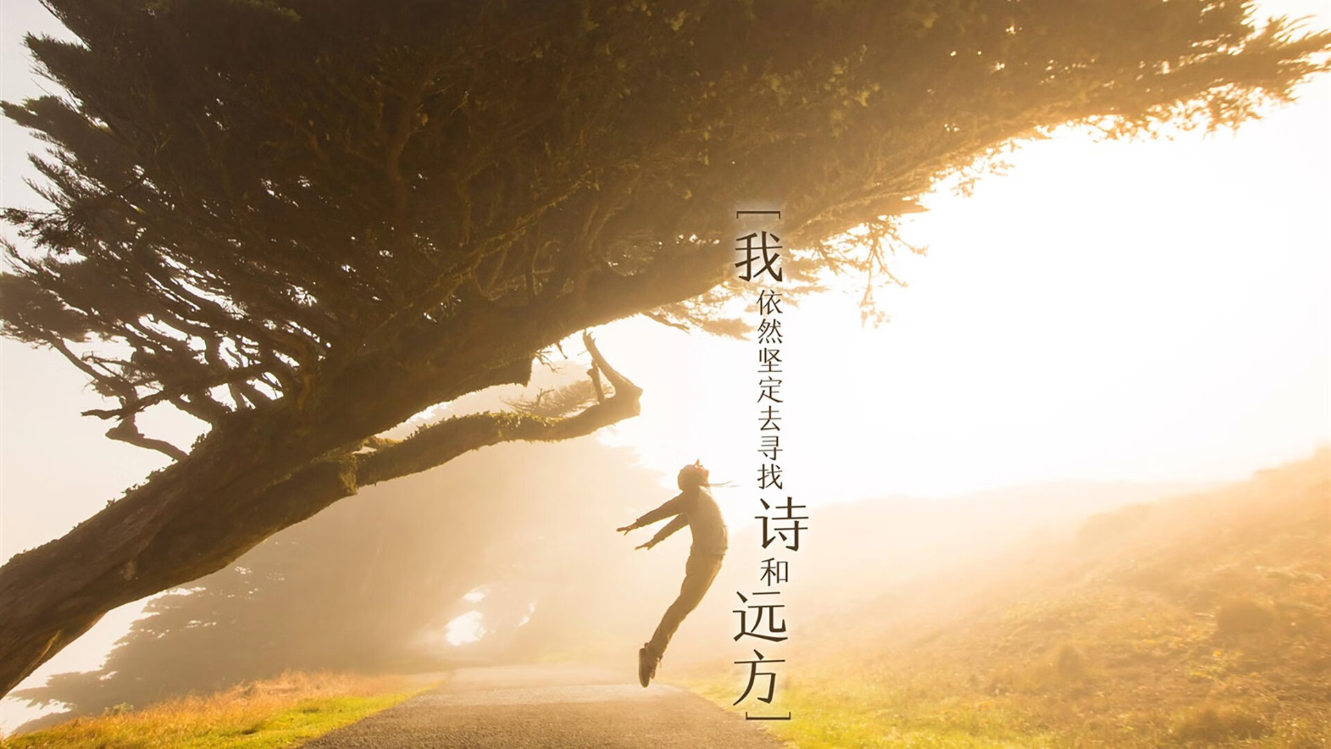 kaiyun官方入口登录-车坛传世经典：回忆传奇车手，车坛奇闻小视频