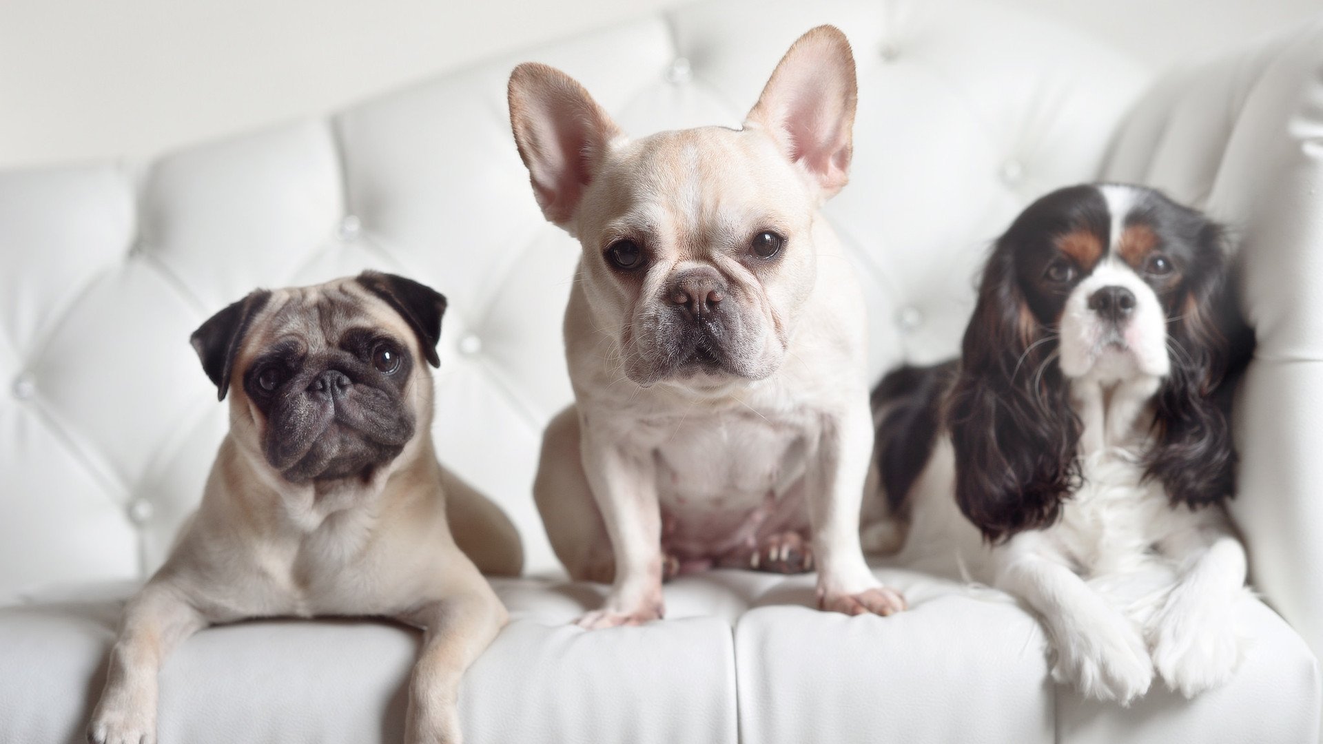 开云官方网页登录-难以置信的逆转，球队从落后到逆袭成功，逆袭球员