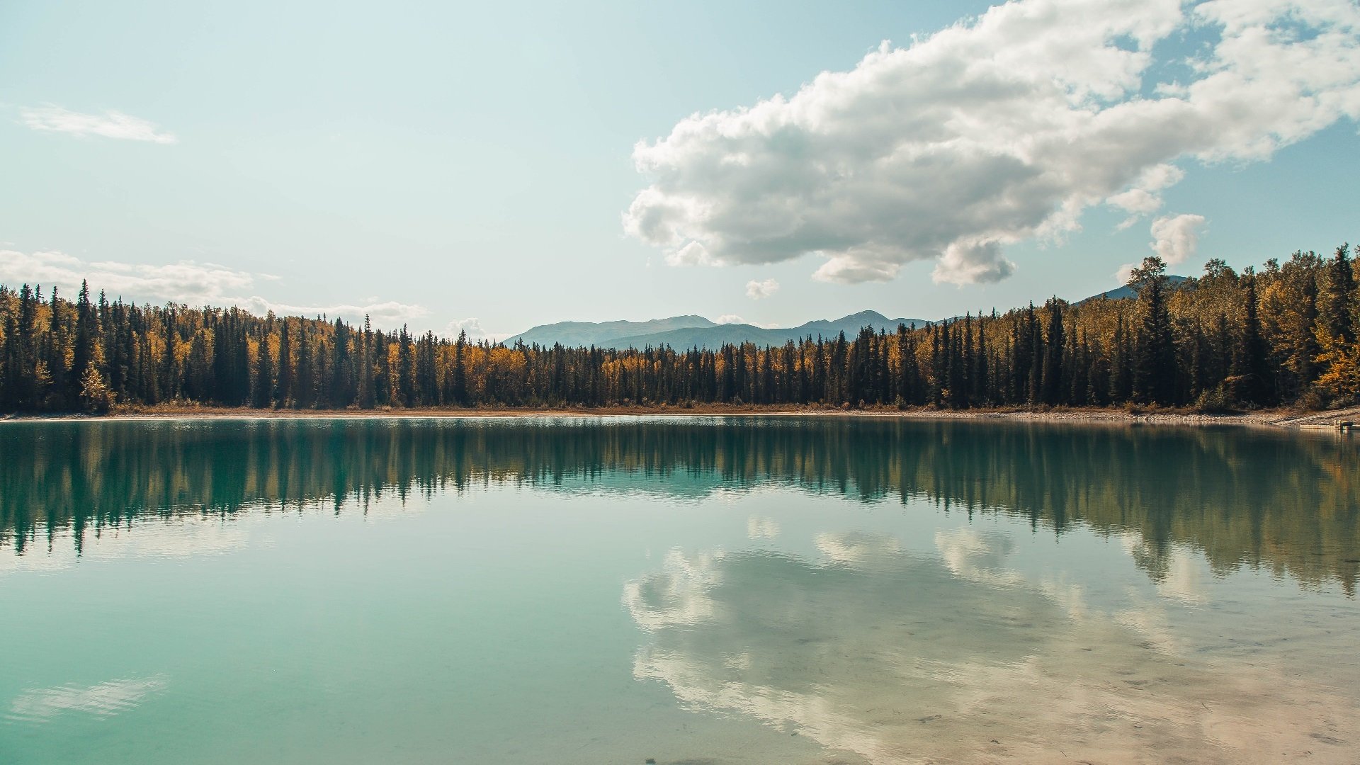 那不勒斯锋线火力全开,领跑积分榜,那不勒斯阵型图