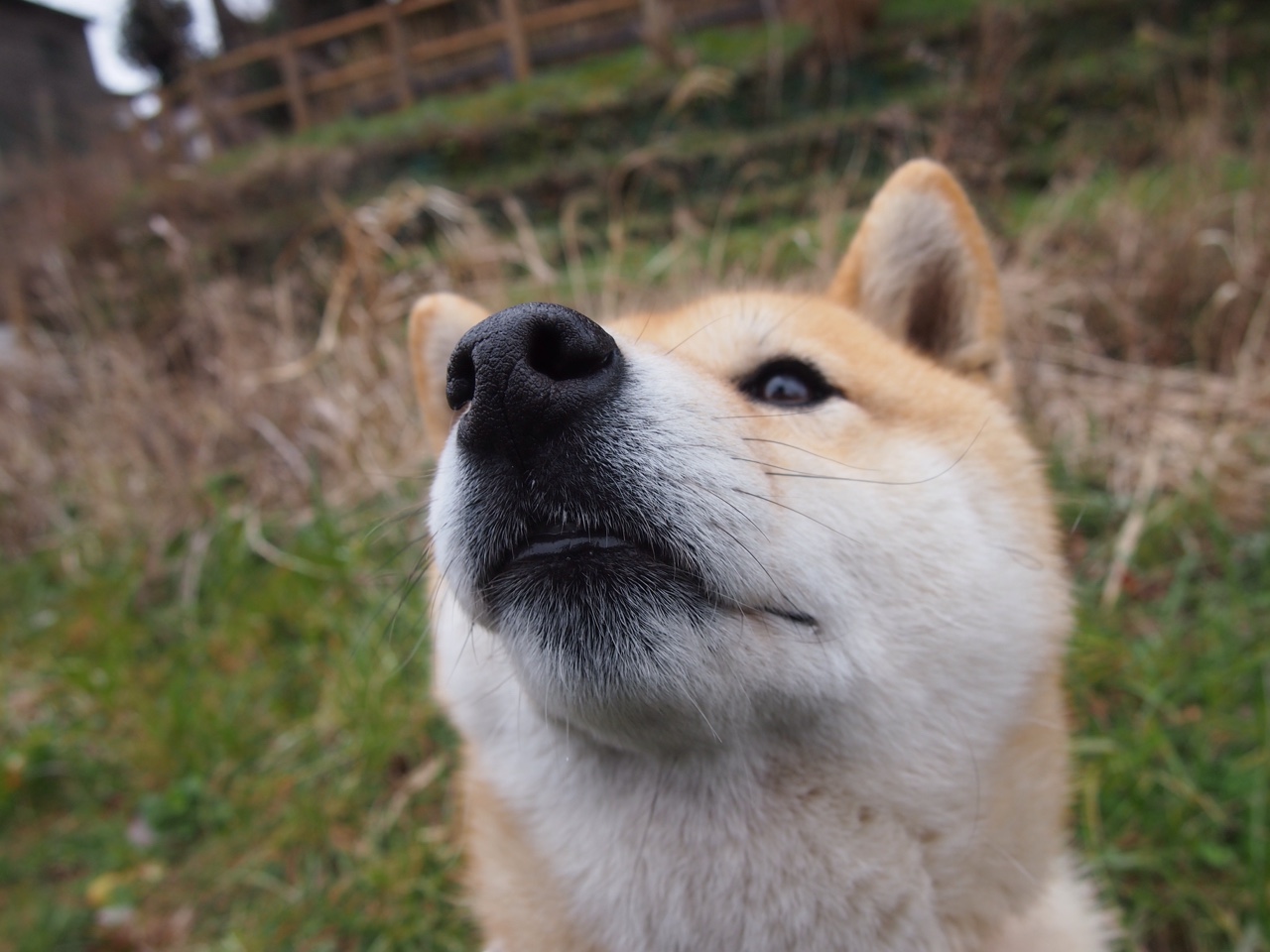 北京中赫国安队客场击败深圳佳兆业，北京中赫国安俱乐部的球员